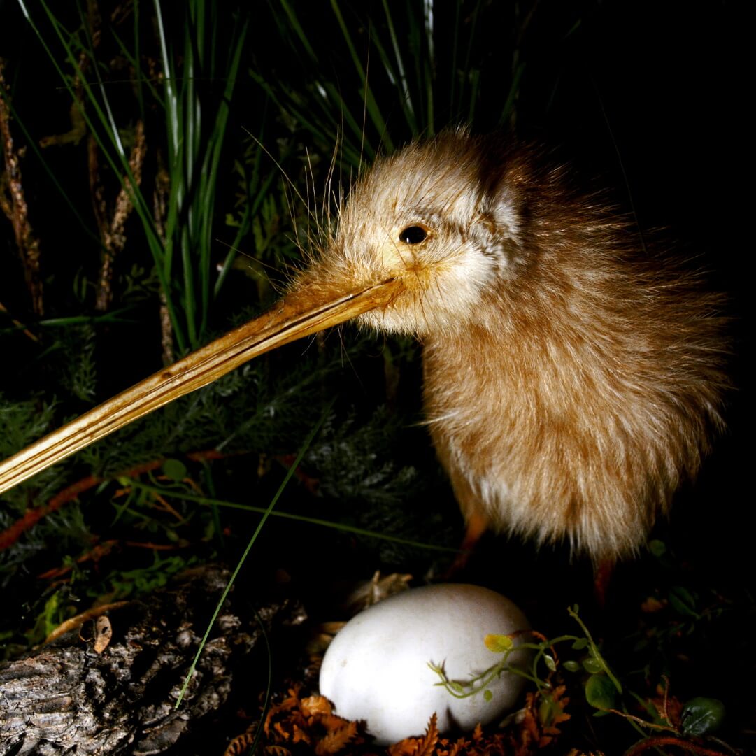 We donate 5% of everything we earn to charity